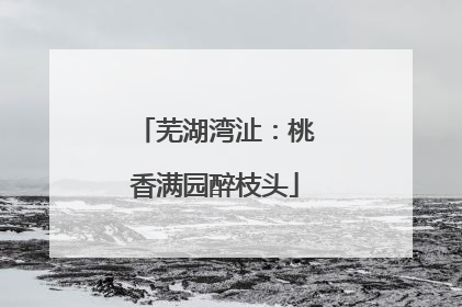 芜湖湾沚：桃香满园醉枝头