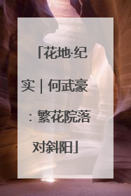 花地·纪实｜何武豪：繁花院落对斜阳