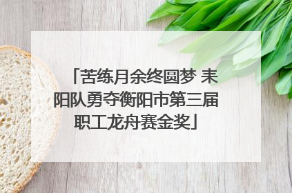 苦练月余终圆梦 耒阳队勇夺衡阳市第三届职工龙舟赛金奖