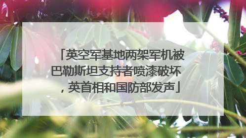 英空军基地两架军机被巴勒斯坦支持者喷漆破坏，英首相和国防部发声