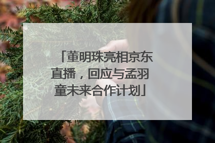 董明珠亮相京东直播，回应与孟羽童未来合作计划