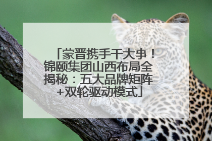 蒙晋携手干大事！锦颐集团山西布局全揭秘：五大品牌矩阵+双轮驱动模式