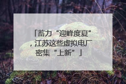 蓄力“迎峰度夏”，江苏这些虚拟电厂密集“上新”