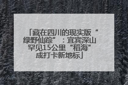 藏在四川的现实版“绿野仙踪”：宜宾深山罕见15公里“稻海”成打卡新地标