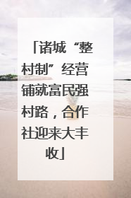 诸城“整村制”经营铺就富民强村路，合作社迎来大丰收