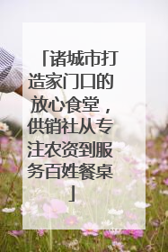 诸城市打造家门口的放心食堂，供销社从专注农资到服务百姓餐桌
