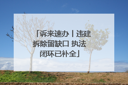诉来速办丨违建拆除留缺口 执法闭环已补全