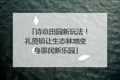 诗意田园新玩法！礼贤镇让生态林地变身惠民新乐园