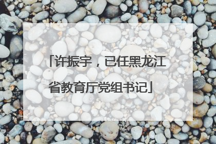 许振宇，已任黑龙江省教育厅党组书记
