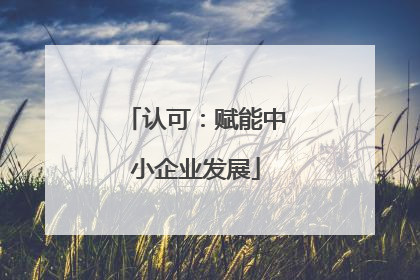 认可：赋能中小企业发展