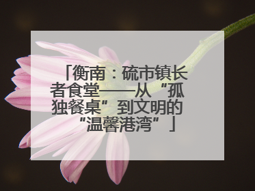 衡南：硫市镇长者食堂——从“孤独餐桌”到文明的“温馨港湾”