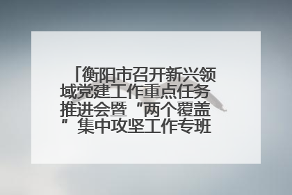 衡阳市召开新兴领域党建工作重点任务推进会暨“两个覆盖”集中攻坚工作专班 第一次会议