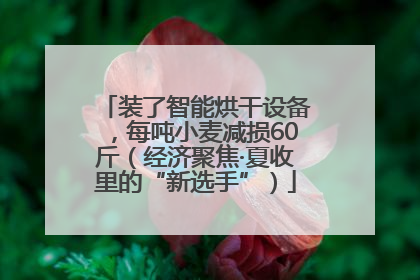 装了智能烘干设备，每吨小麦减损60斤（经济聚焦·夏收里的“新选手”）