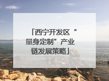 西宁开发区“量身定制”产业链发展策略