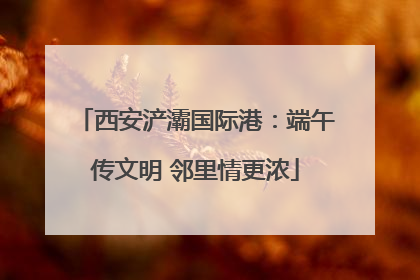 西安浐灞国际港：端午传文明 邻里情更浓