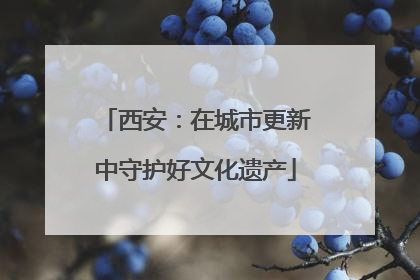 西安：在城市更新中守护好文化遗产