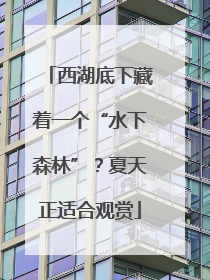 西湖底下藏着一个“水下森林”？夏天正适合观赏