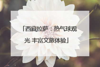 西藏拉萨:热气球观光 丰富文旅体验
