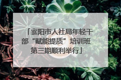 襄阳市人社局年轻干部“赋能提质”培训班第三期顺利举行