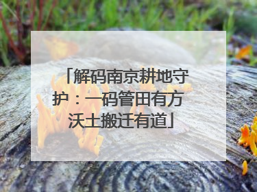 解码南京耕地守护：一码管田有方 沃土搬迁有道
