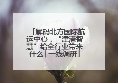 解码北方国际航运中心，“津港智慧”给全行业带来什么│一线调研