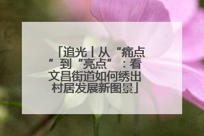 追光丨从“痛点”到“亮点”：看文昌街道如何绣出村居发展新图景