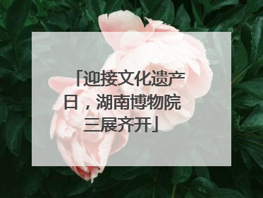 迎接文化遗产日，湖南博物院三展齐开