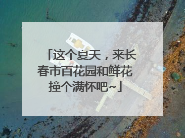 这个夏天，来长春市百花园和鲜花撞个满怀吧~