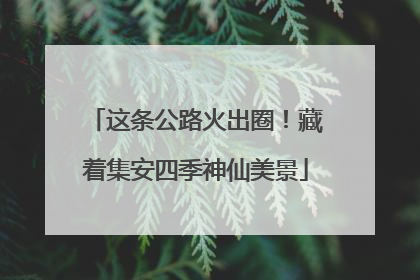 这条公路火出圈！藏着集安四季神仙美景