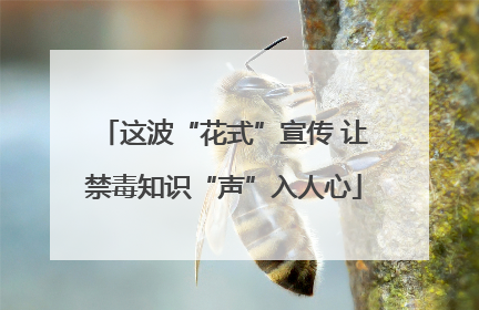 这波“花式”宣传 让禁毒知识“声”入人心