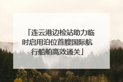 连云港边检站助力临时启用泊位首艘国际航行船舶高效通关