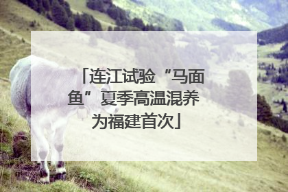 连江试验“马面鱼”夏季高温混养 为福建首次
