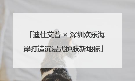 迪仕艾普 × 深圳欢乐海岸打造沉浸式护肤新地标