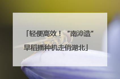轻便高效！“南漳造”旱稻播种机走俏湖北