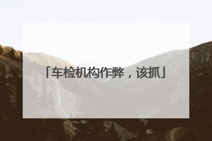 车检机构作弊，该抓