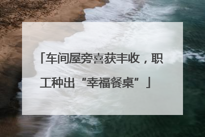 车间屋旁喜获丰收，职工种出“幸福餐桌”