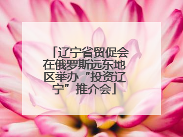 辽宁省贸促会在俄罗斯远东地区举办“投资辽宁”推介会