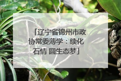 辽宁省锦州市政协常委薄学：续化石情 圆生态梦