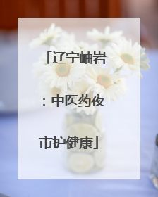 辽宁岫岩：中医药夜市护健康