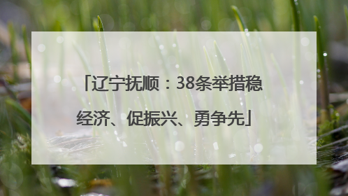 辽宁抚顺：38条举措稳经济、促振兴、勇争先