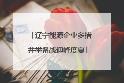 辽宁能源企业多措并举备战迎峰度夏