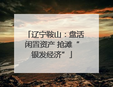 辽宁鞍山：盘活闲置资产 抢滩“银发经济”