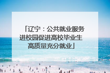 辽宁：公共就业服务进校园促进高校毕业生高质量充分就业