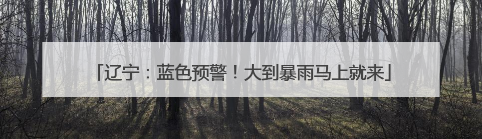 辽宁：蓝色预警！大到暴雨马上就来