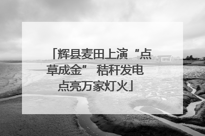 辉县麦田上演“点草成金” 秸秆发电点亮万家灯火