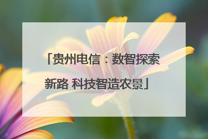 贵州电信：数智探索新路 科技智造农景