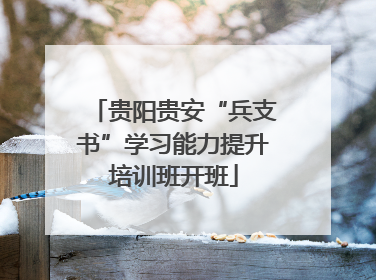 贵阳贵安“兵支书”学习能力提升培训班开班