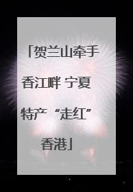 贺兰山牵手香江畔 宁夏特产“走红”香港