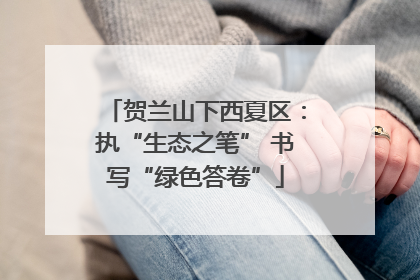 贺兰山下西夏区：执“生态之笔” 书写“绿色答卷”