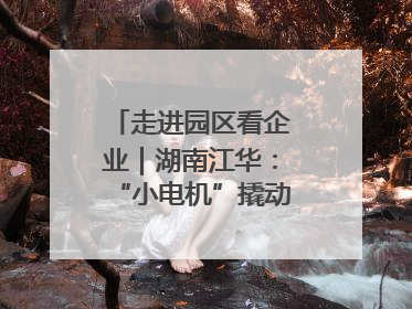 走进园区看企业｜湖南江华：“小电机”撬动“大产业”